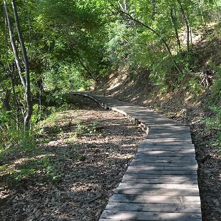 דירה On The Cliff *