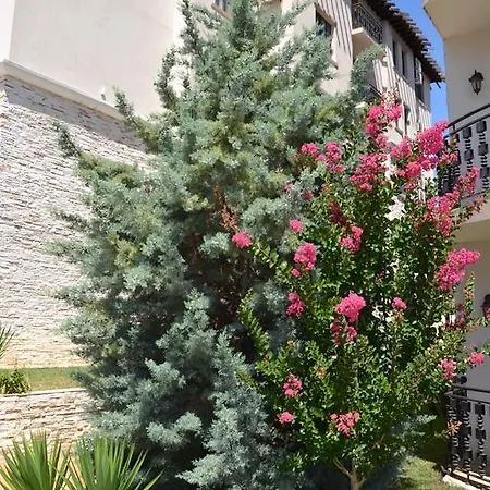 On The Cliff Lejlighed *