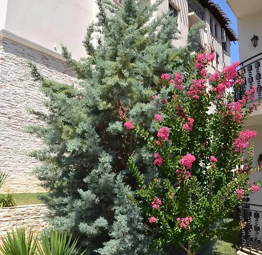 On The Cliff Daire *