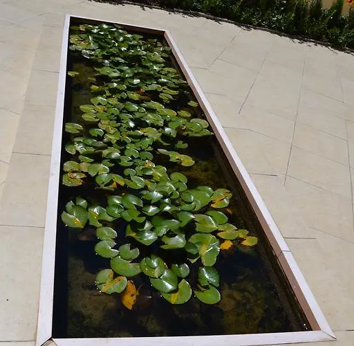 On The Cliff * Обзор