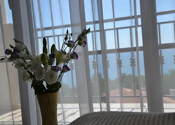 On The Cliff Daire Obzor