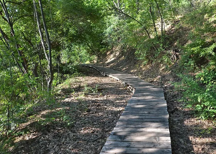 Daire On The Cliff *